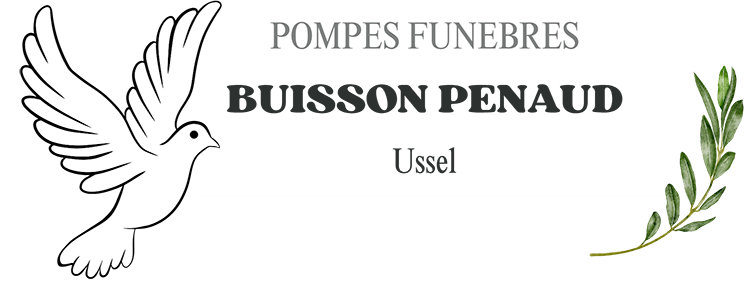 Logo Buisson Penaud